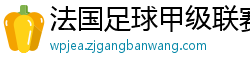 法国足球甲级联赛